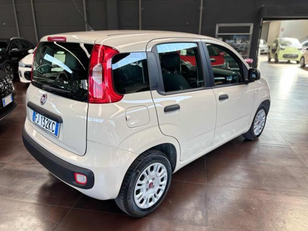 Fiat Panda usata a Pesaro-Urbino (5)