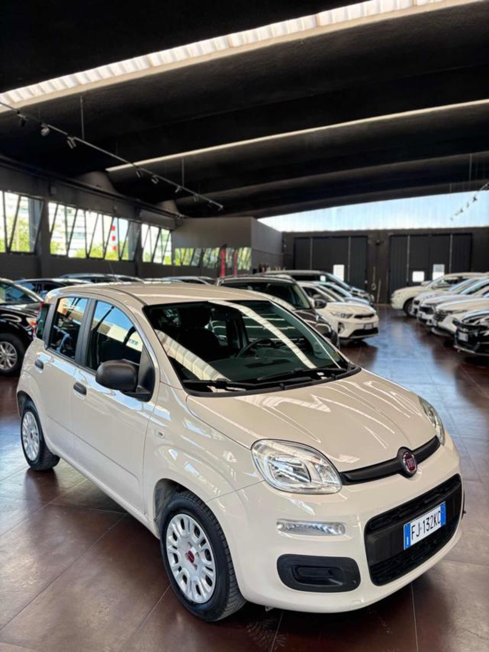 Fiat Panda usata a Pesaro-Urbino (6)