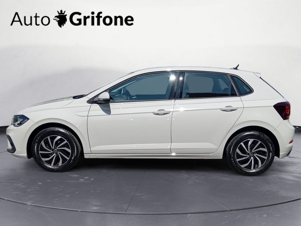 Volkswagen Polo usata a Modena (2)
