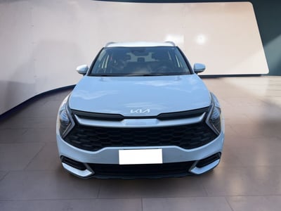 Kia Sportage 1.6 TGDi MHEV Business del 2022 usata a Torino