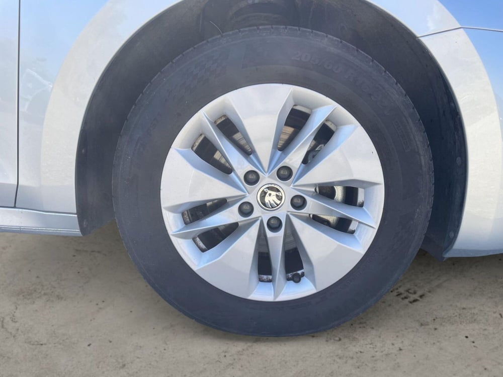 Skoda Octavia Station Wagon usata a Pistoia (16)