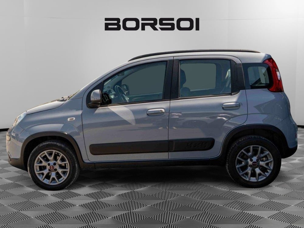 Fiat Panda usata a Venezia (2)