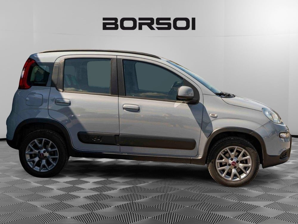 Fiat Panda usata a Venezia (6)
