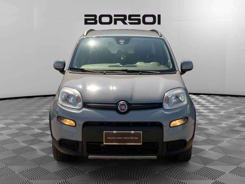 Fiat Panda usata a Venezia (8)