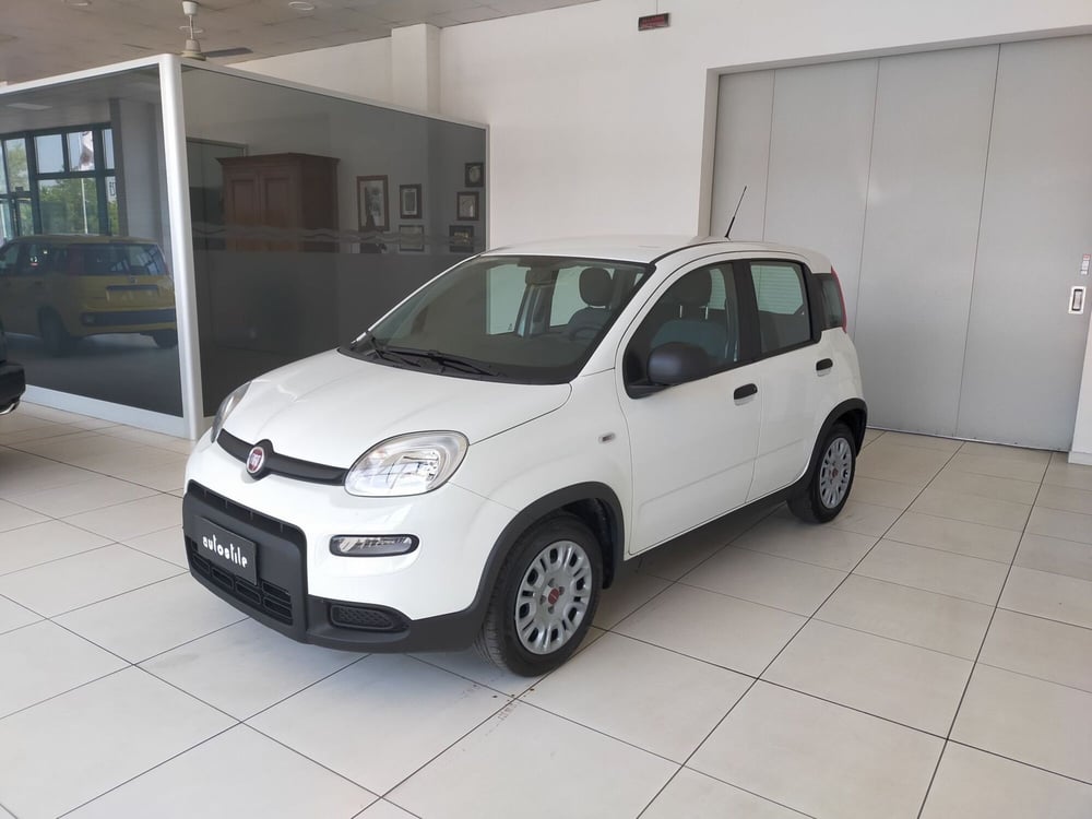 Fiat Panda usata a Reggio Emilia (3)