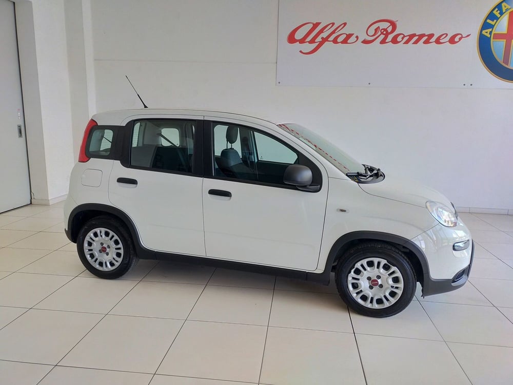 Fiat Panda usata a Reggio Emilia (4)