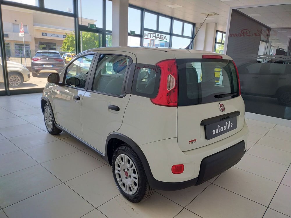 Fiat Panda usata a Reggio Emilia (6)