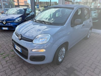 Fiat Panda 1.2 EasyPower Easy del 2017 usata a Torino