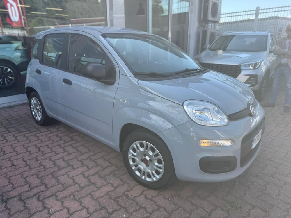 Fiat Panda usata a Torino (4)