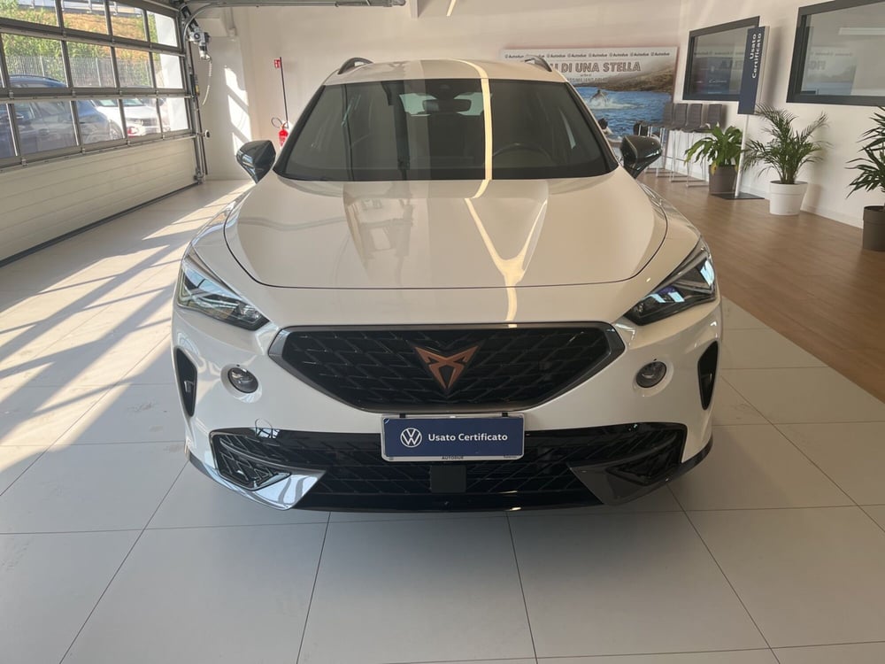 Cupra Formentor usata a Salerno (3)