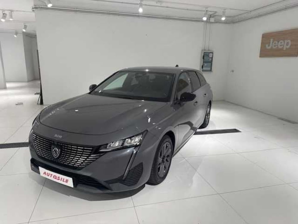 Peugeot 308 SW usata a Treviso