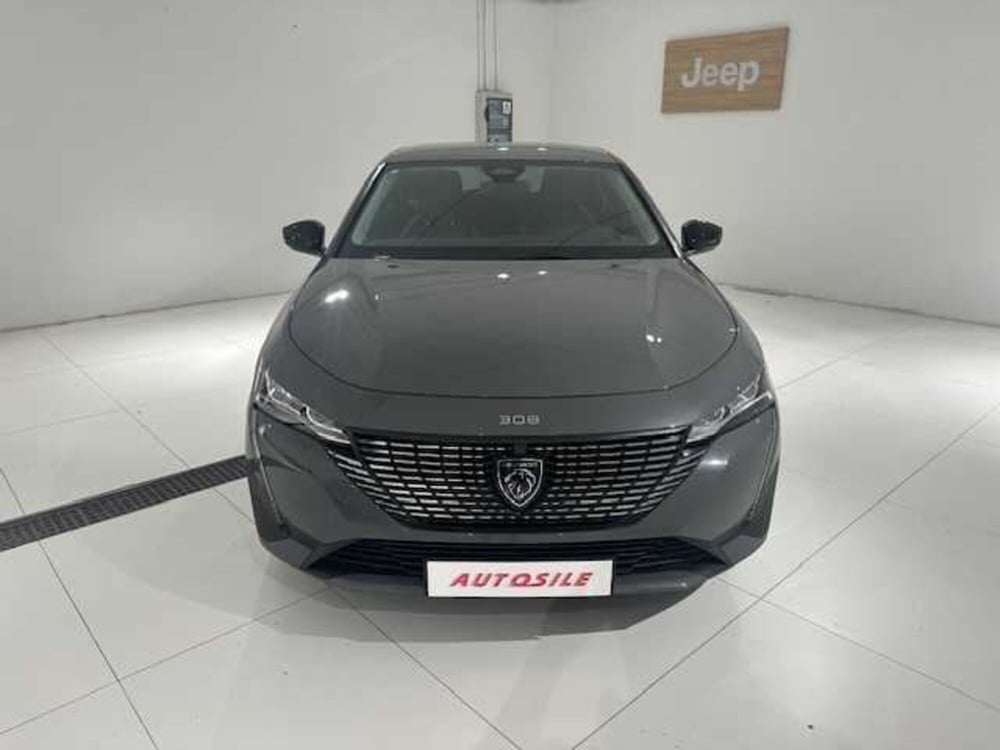 Peugeot 308 SW usata a Treviso (2)