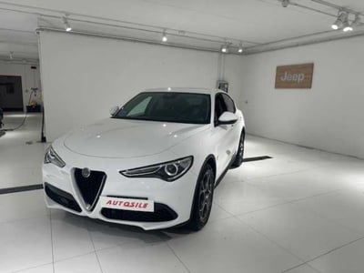 Alfa Romeo Stelvio Stelvio 2.2 Turbodiesel 160 CV AT8 RWD Rosso Edizione del 2021 usata a Montebelluna