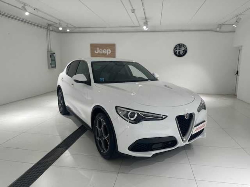 Alfa Romeo Stelvio usata a Treviso (3)