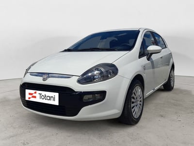 Fiat Punto Evo 1.4 5 porte S&amp;S Active del 2011 usata a L&#039;Aquila