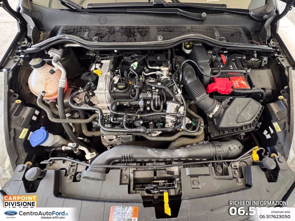 Ford Fiesta usata a Roma (11)