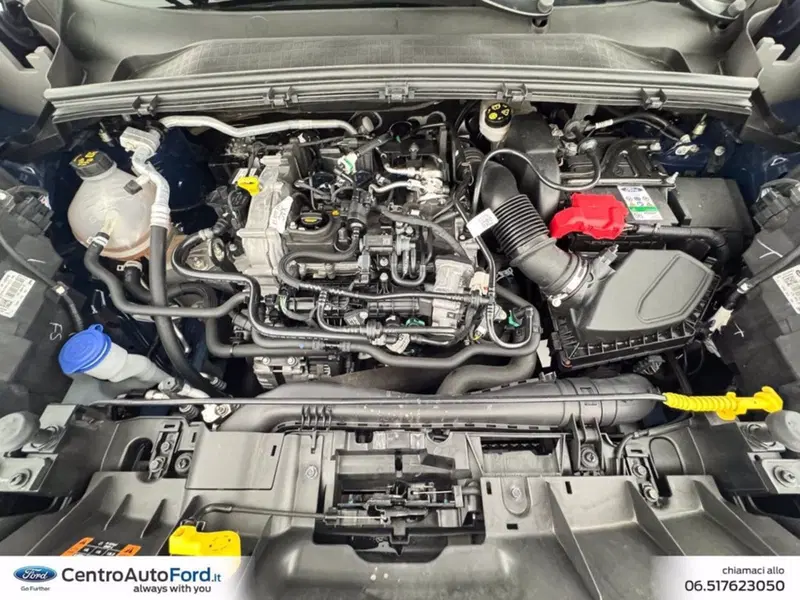 Ford Puma usata a Roma (12)