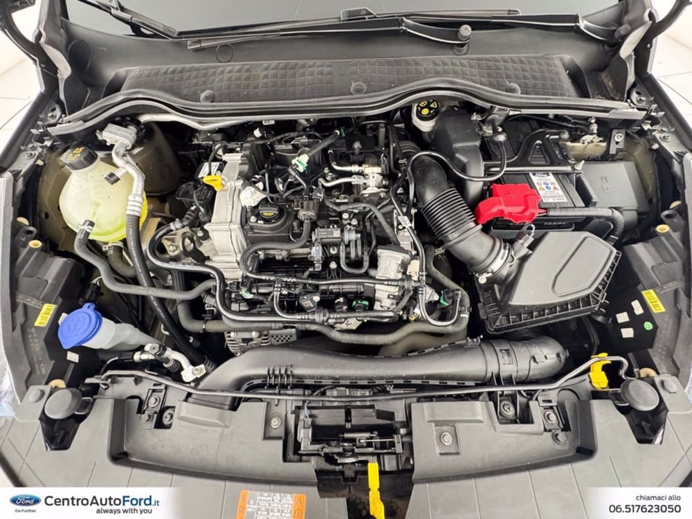 Ford Fiesta usata a Roma (12)