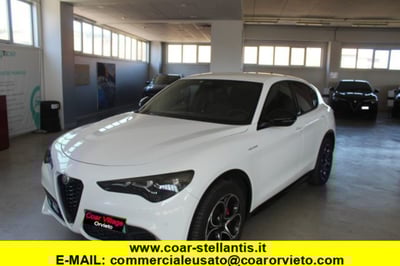 Alfa Romeo Stelvio Stelvio 2.2 Turbodiesel 210 CV AT8 Q4 Veloce del 2024 usata a Orvieto