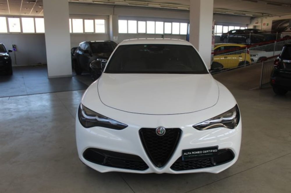 Alfa Romeo Stelvio usata a Terni (2)