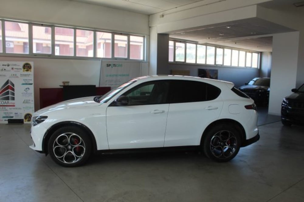 Alfa Romeo Stelvio usata a Terni (3)