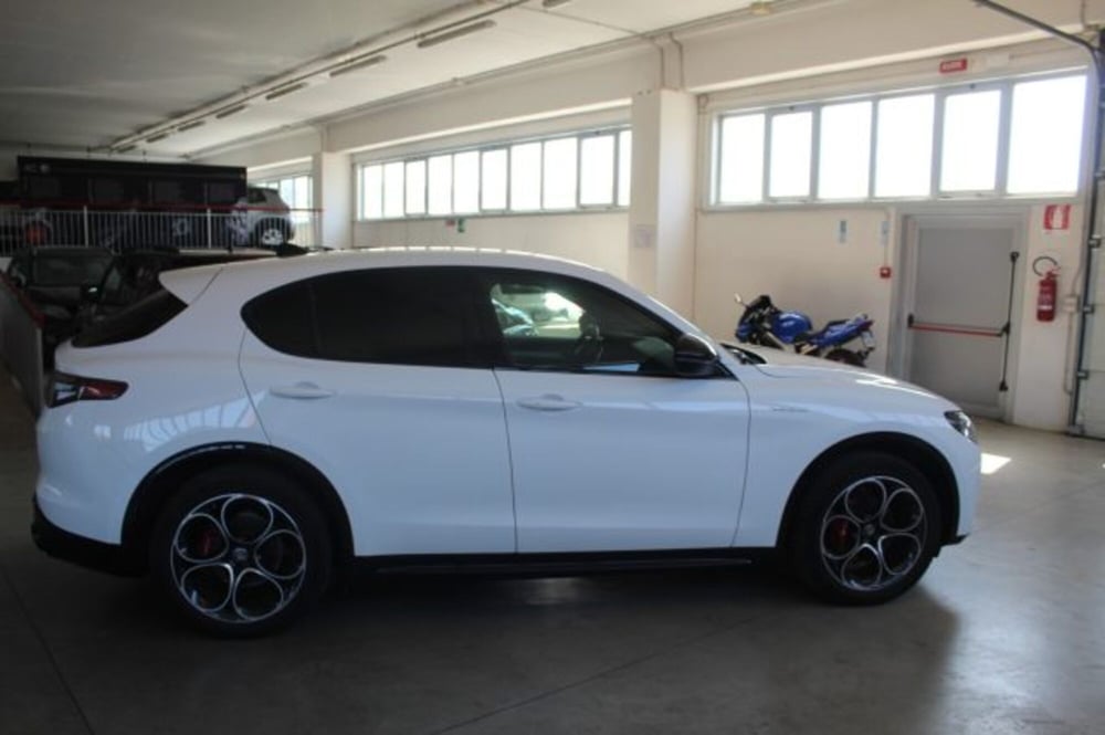 Alfa Romeo Stelvio usata a Terni (6)