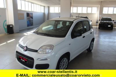 Fiat Panda 1.2 Easy del 2020 usata a Orvieto