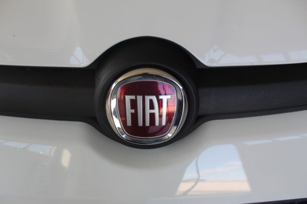 Fiat Panda usata a Terni (19)
