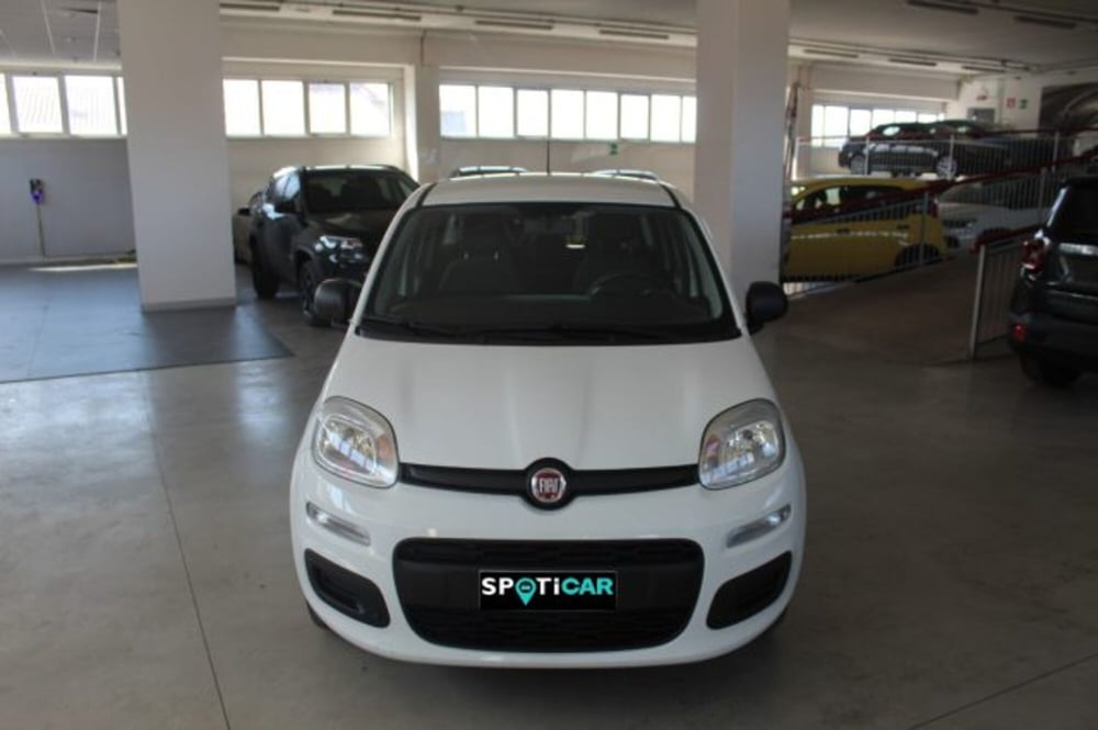 Fiat Panda usata a Terni (2)