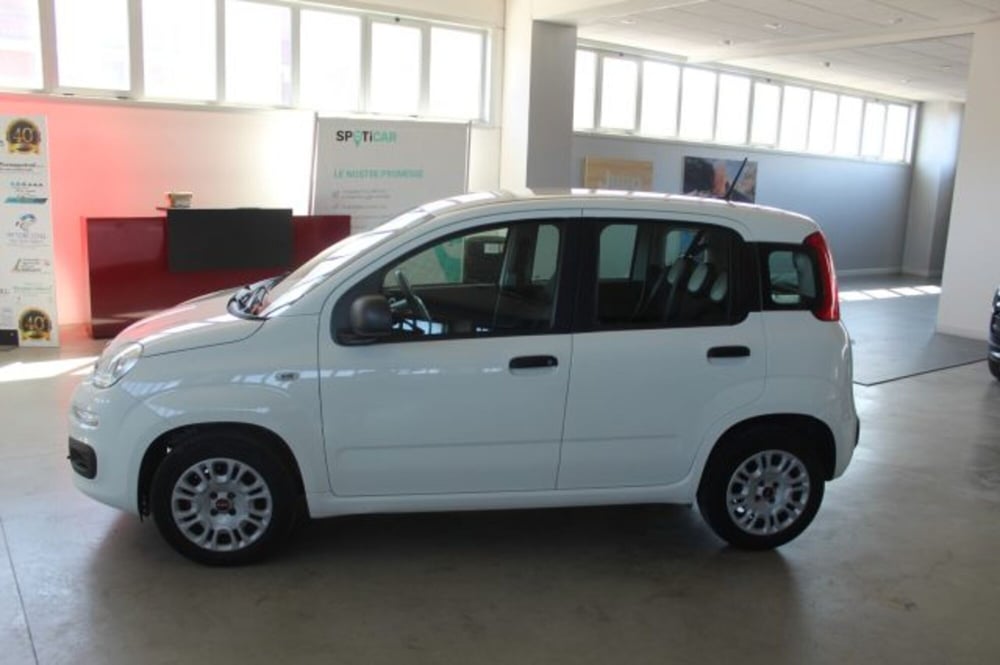 Fiat Panda usata a Terni (3)