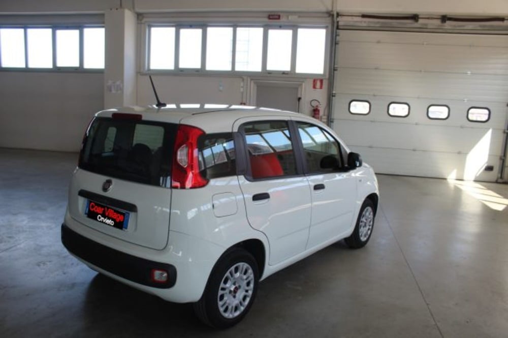 Fiat Panda usata a Terni (4)
