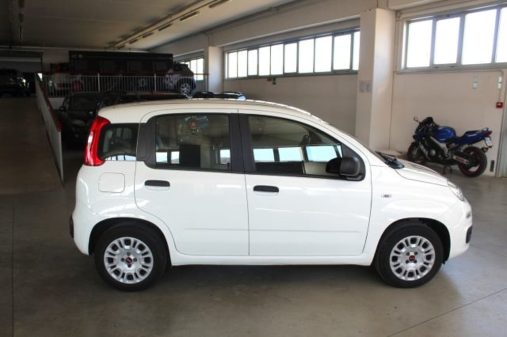 Fiat Panda usata a Terni (6)