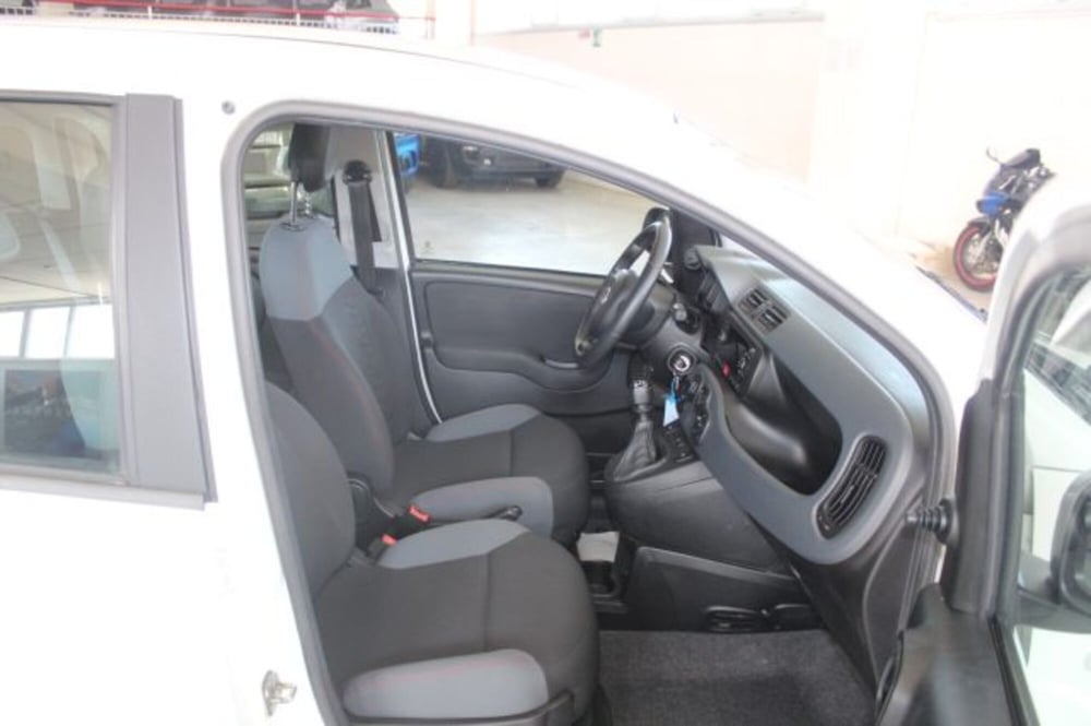 Fiat Panda usata a Terni (8)