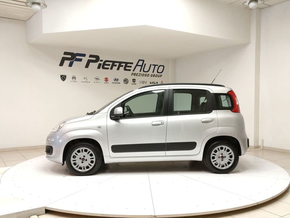 Fiat Panda usata a Teramo (2)