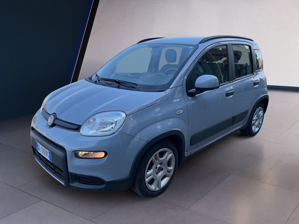 Fiat Panda usata a Torino (2)
