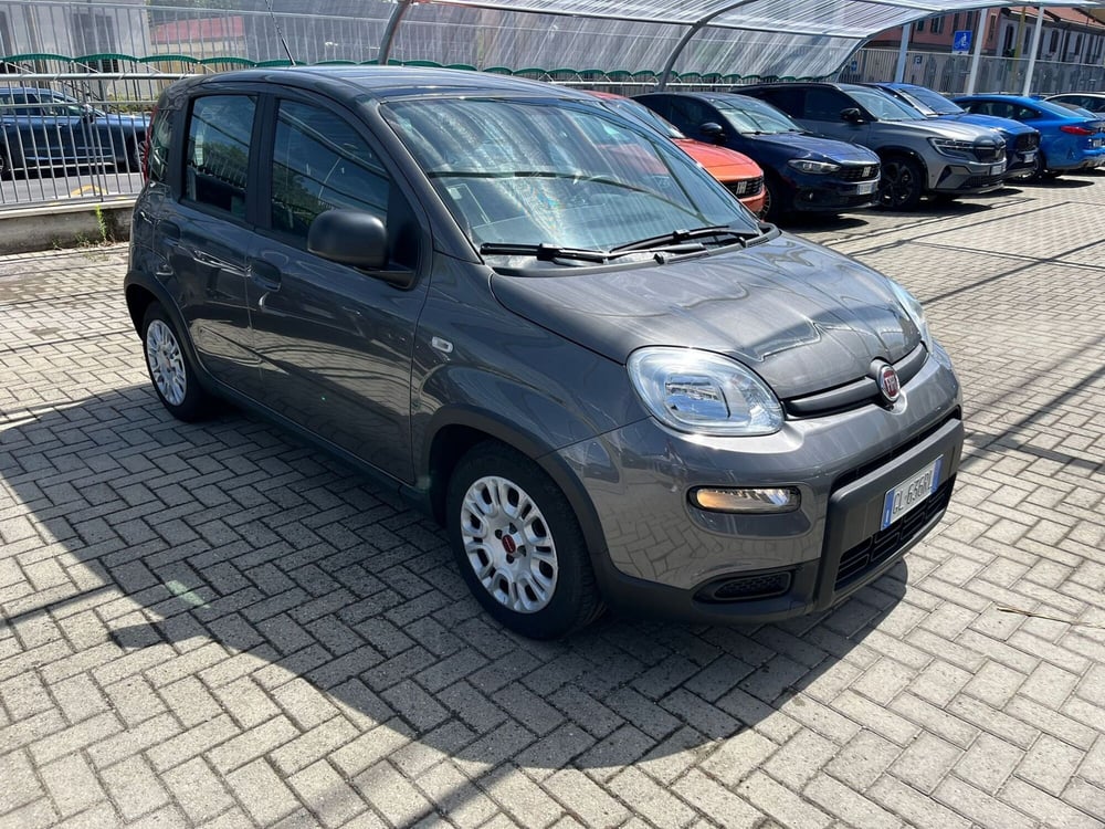 Fiat Panda Cross usata a Milano (2)