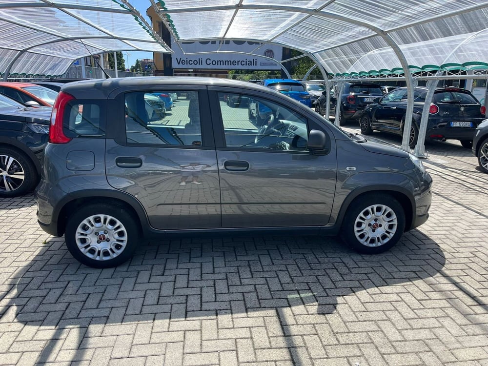 Fiat Panda Cross usata a Milano (4)