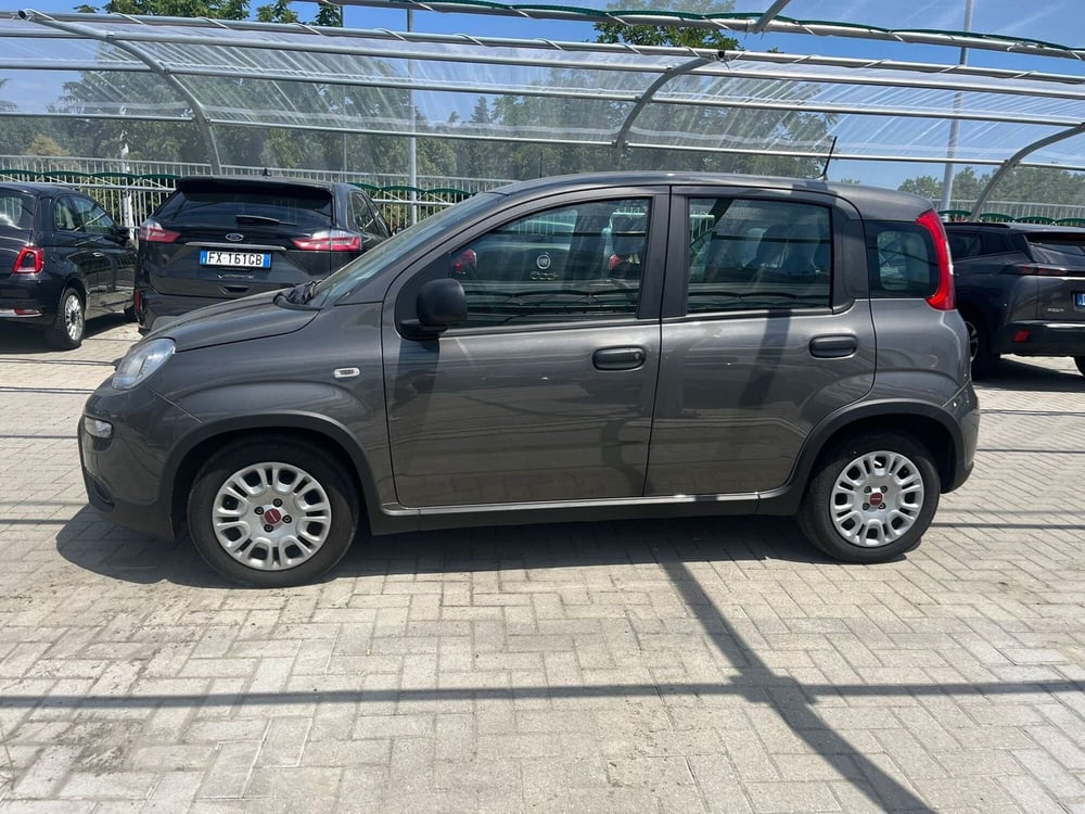 Fiat Panda Cross usata a Milano (4)