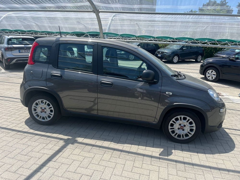 Fiat Panda Cross usata a Milano (5)