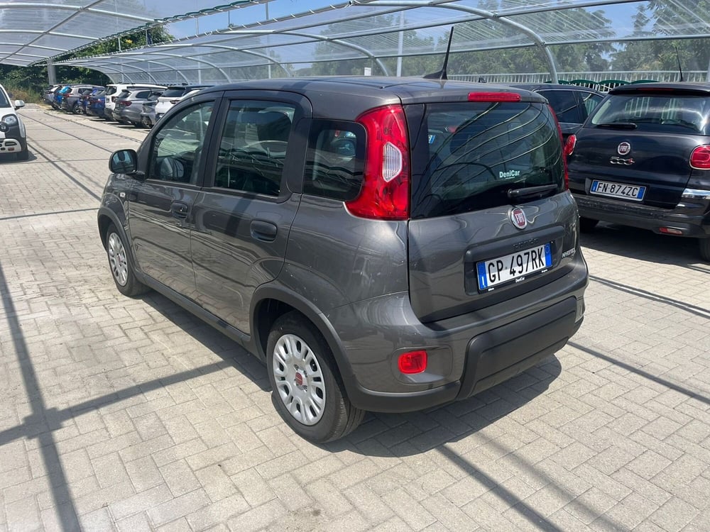 Fiat Panda Cross usata a Milano (6)