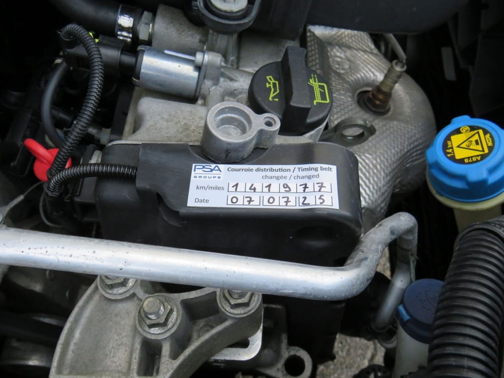 Fiat Panda usata a Monza e Brianza (19)