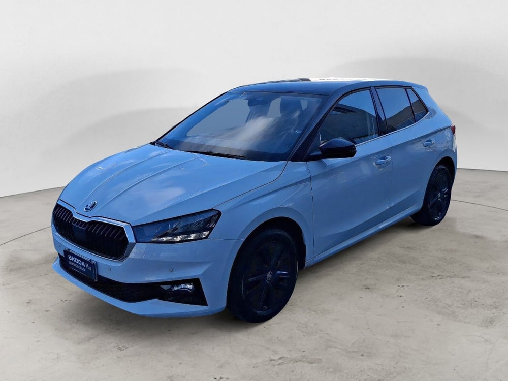 Skoda Fabia usata a Ancona