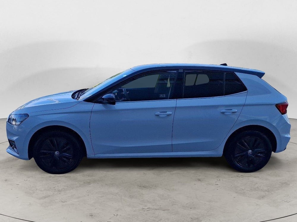 Skoda Fabia usata a Ancona (2)