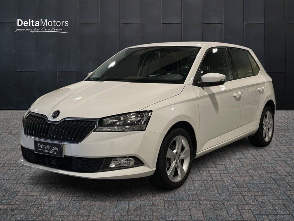 Skoda Fabia usata a Macerata