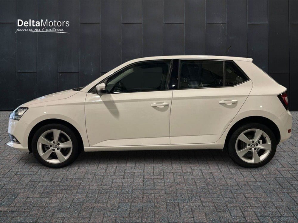 Skoda Fabia usata a Macerata (2)