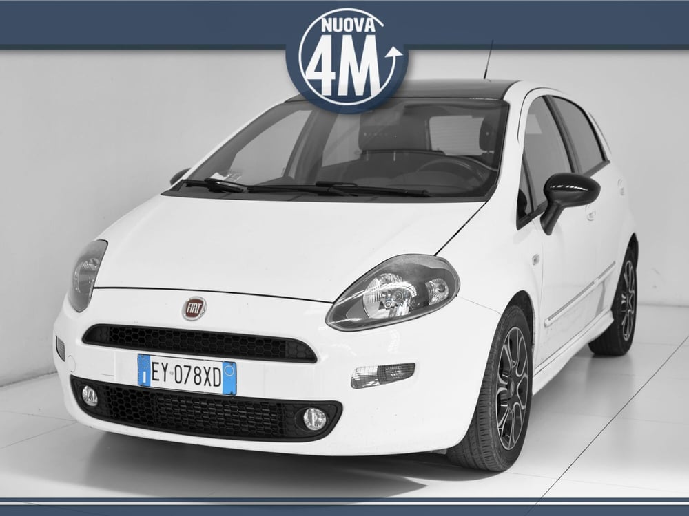 Fiat Punto usata a Prato