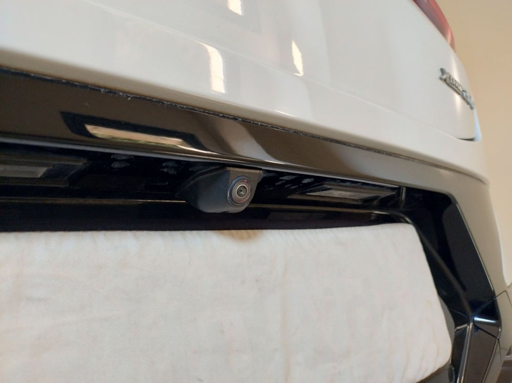BMW X4 usata a Cuneo (16)