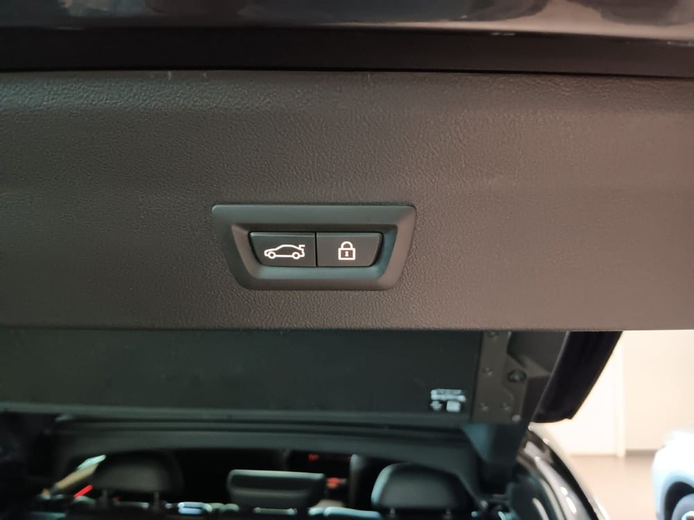 BMW X4 usata a Asti (10)