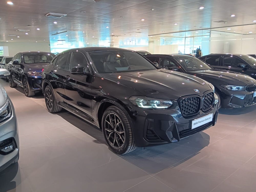 BMW X4 usata a Asti (5)