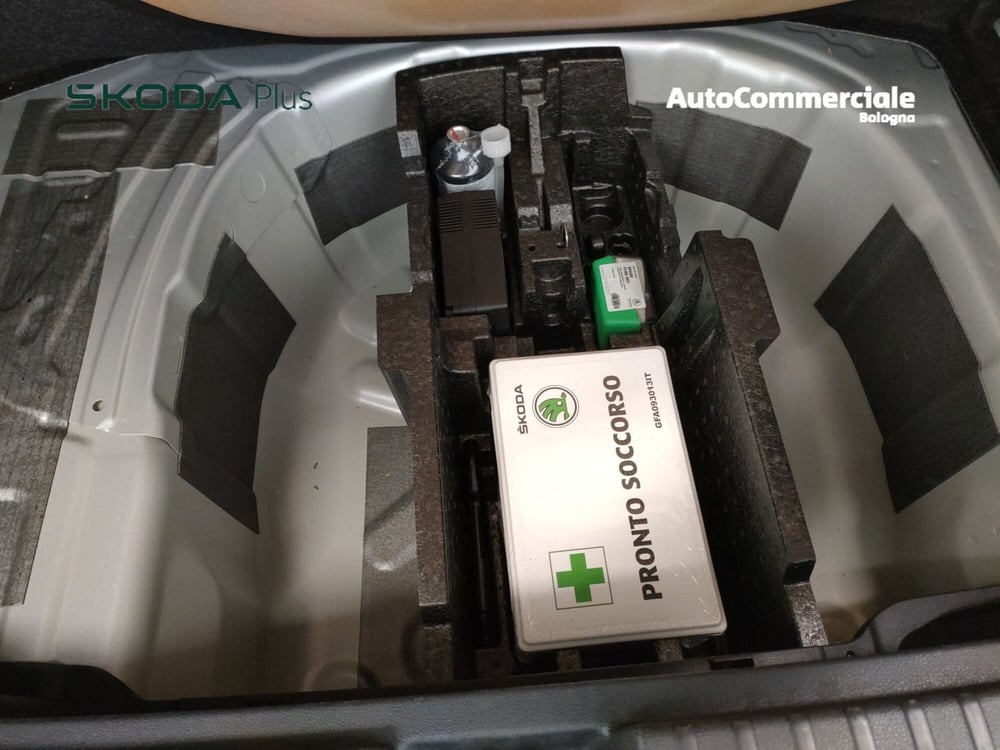 Skoda Kamiq usata a Bologna (19)